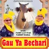 About Gau Ya Bechari Song